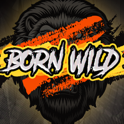 PAWIN88 HS slot Born Wild