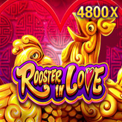 PAWIN88 JDB slot Rooster In Love
