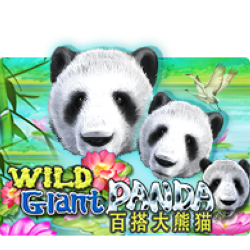 PAWIN88 JK slot Wild Giant Panda